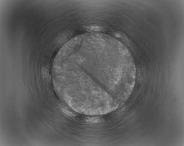 X0000082170377200702162307