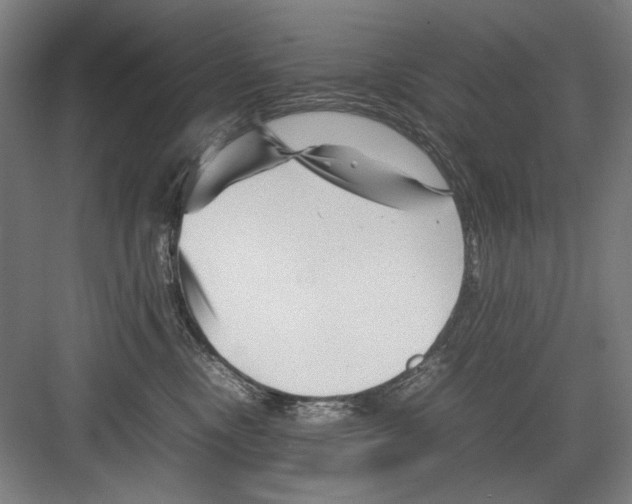 X0000082170378200702162307