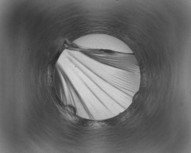 X0000082170379200702162307