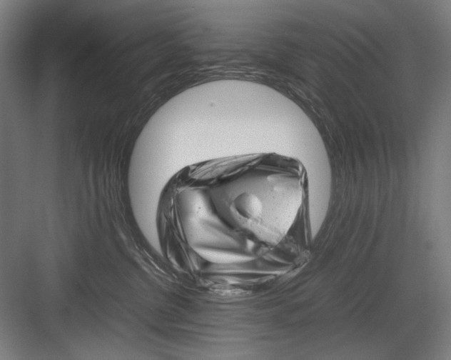 X0000082170380200702162307