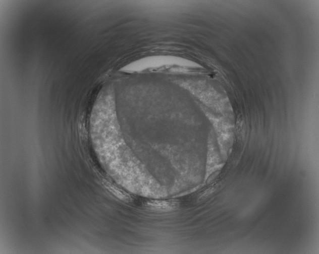 X0000082170381200702162307