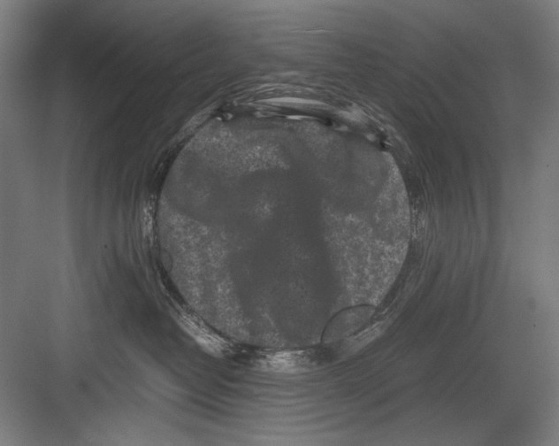 X0000082170382200702162307