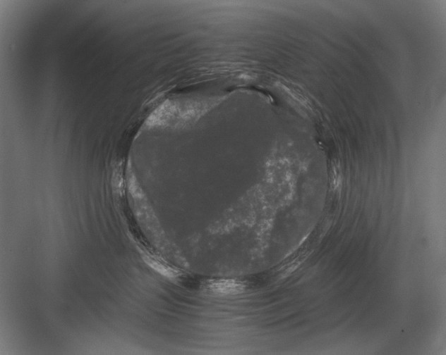 X0000082170383200702162307