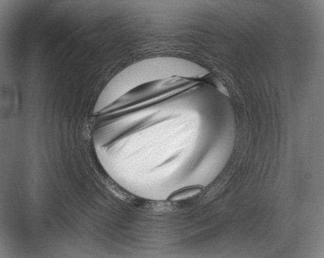 X0000082170384200702162307