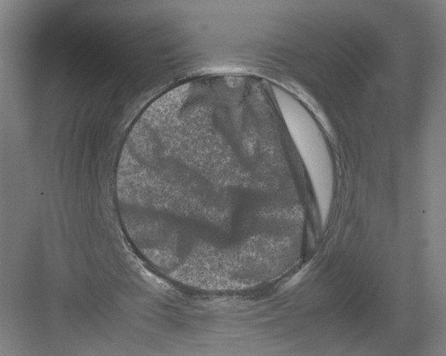 X0000082170385200702162306