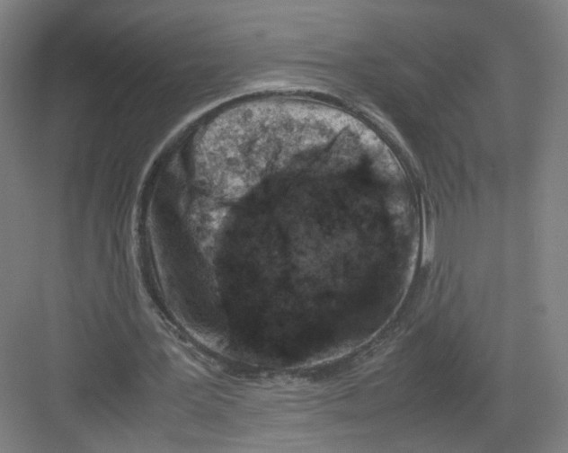 X0000082170387200702162306