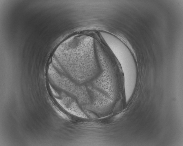 X0000082170389200702162306