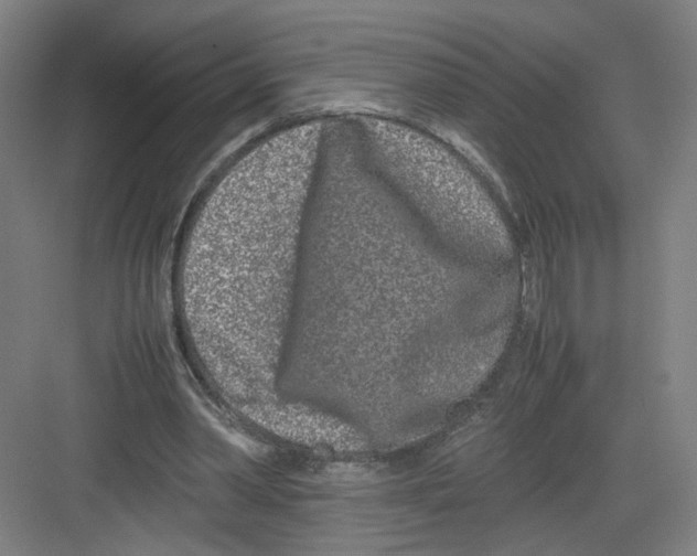 X0000082170390200702162306