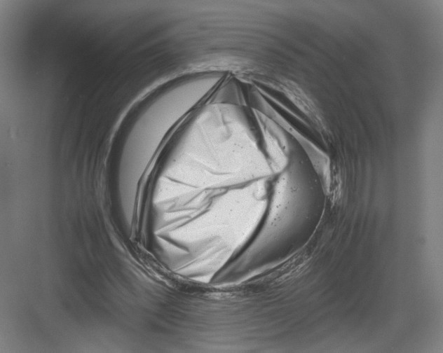 X0000082170392200702162306