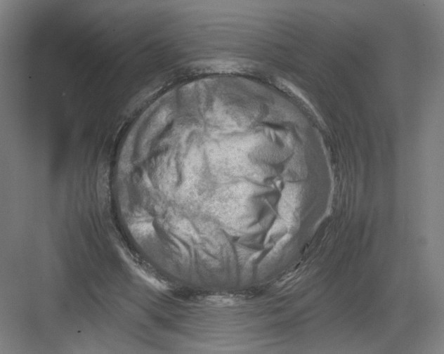 X0000082170394200702162306