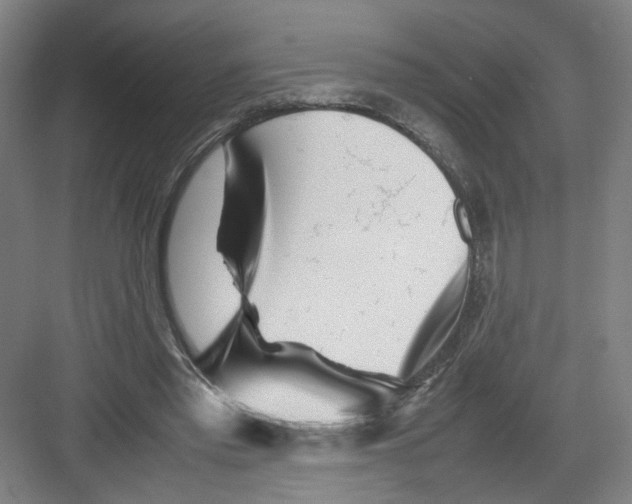 X0000082170397200702162306