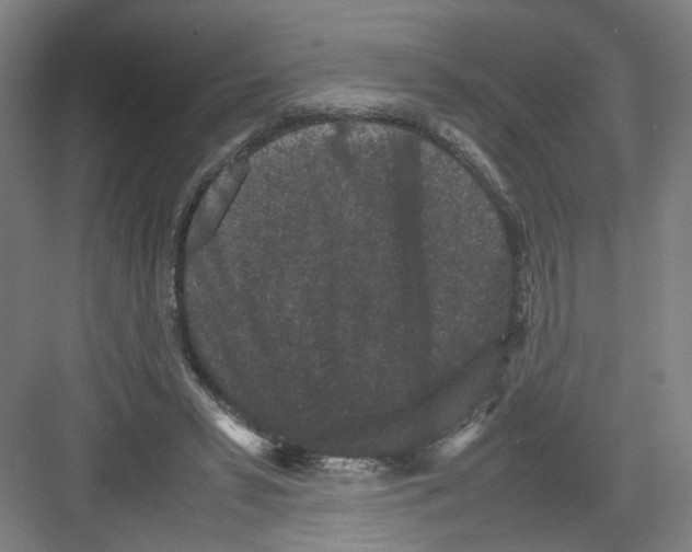 X0000082170399200702162306