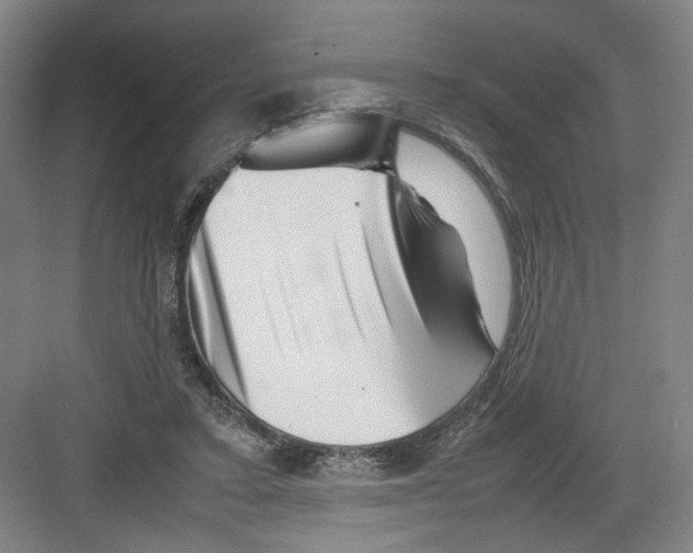 X0000082170403200702162306