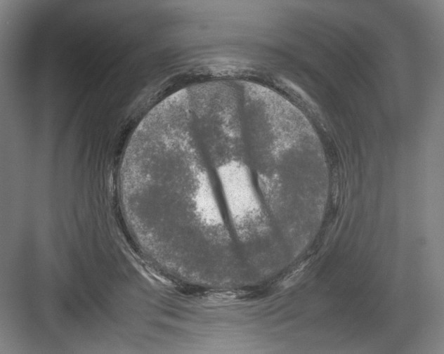 X0000082170405200702162306