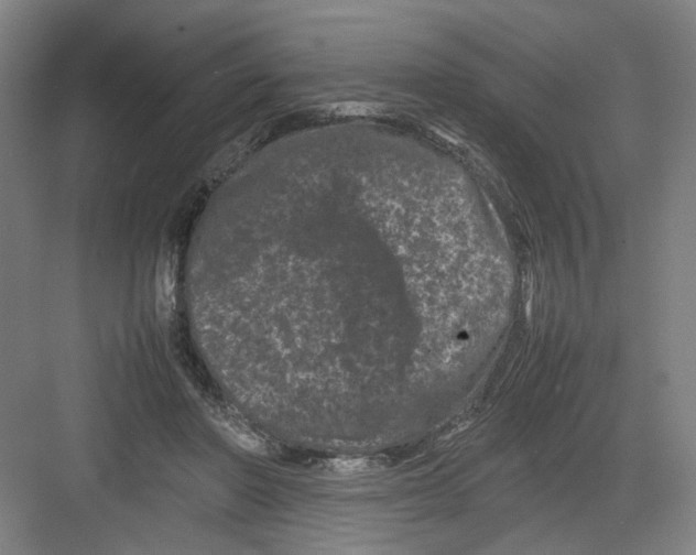 X0000082170406200702162306