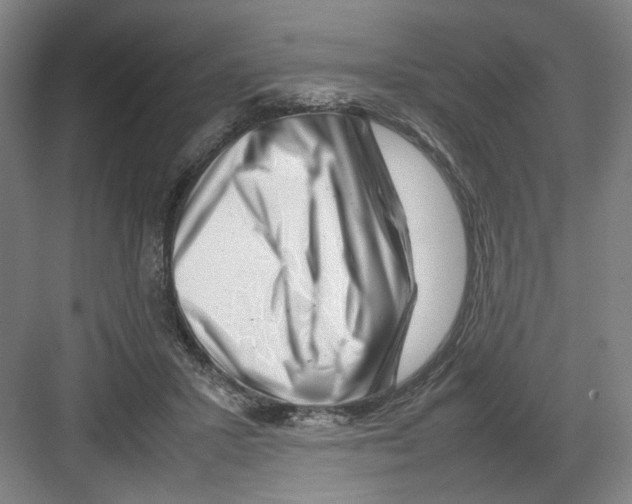 X0000082170407200702162306