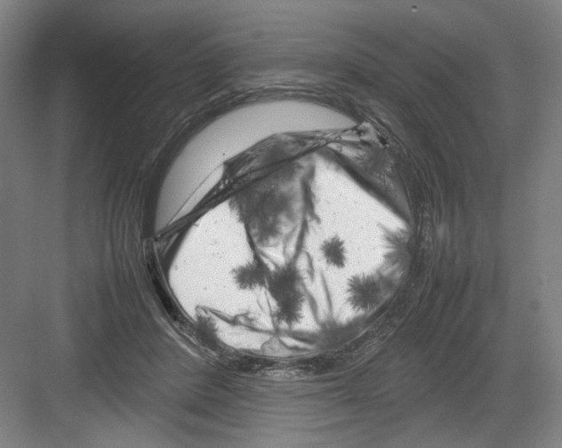 X0000082170408200702162306