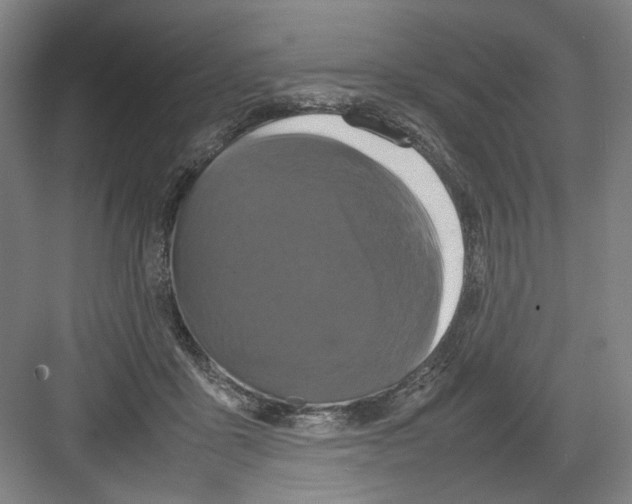 X0000082170411200702162306