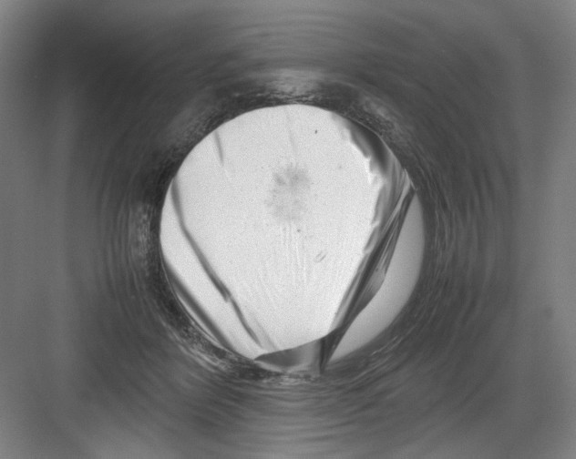 X0000082170412200702162306