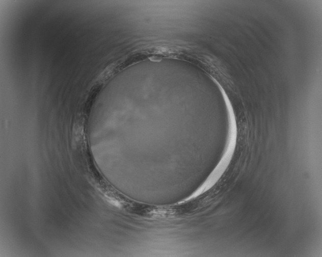 X0000082170415200702162306