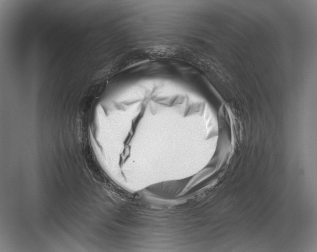 X0000082170416200702162306