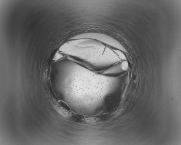 X0000082170417200702162306