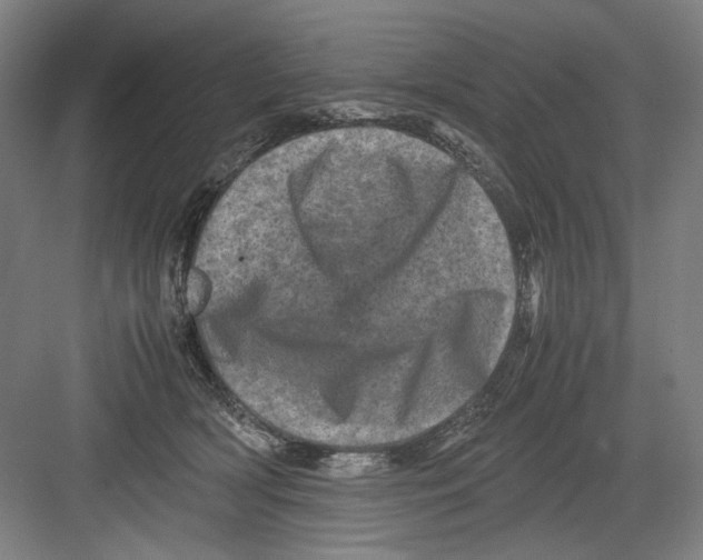 X0000082170418200702162306