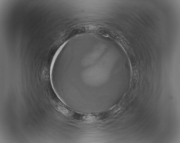 X0000082170419200702162306