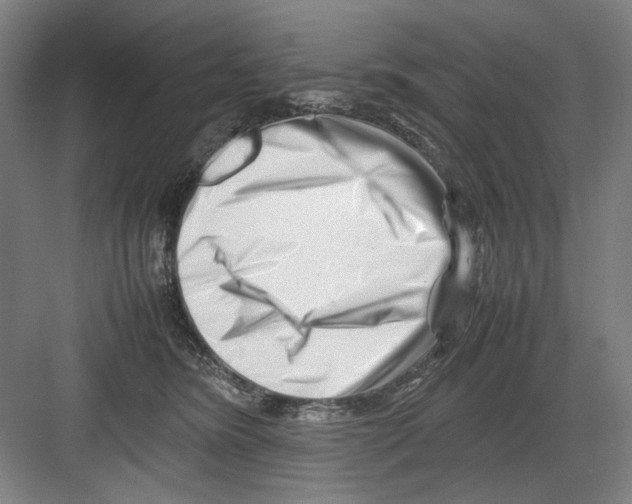 X0000082170420200702162306