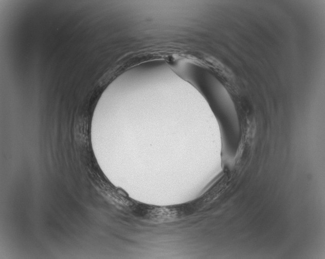 X0000082170421200702162306