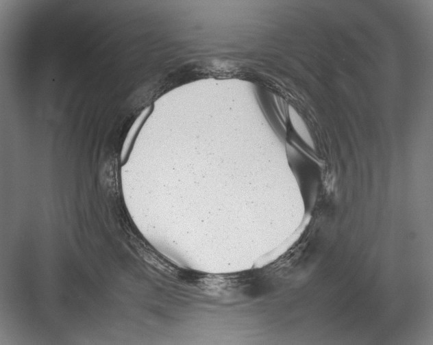 X0000082170425200702162306