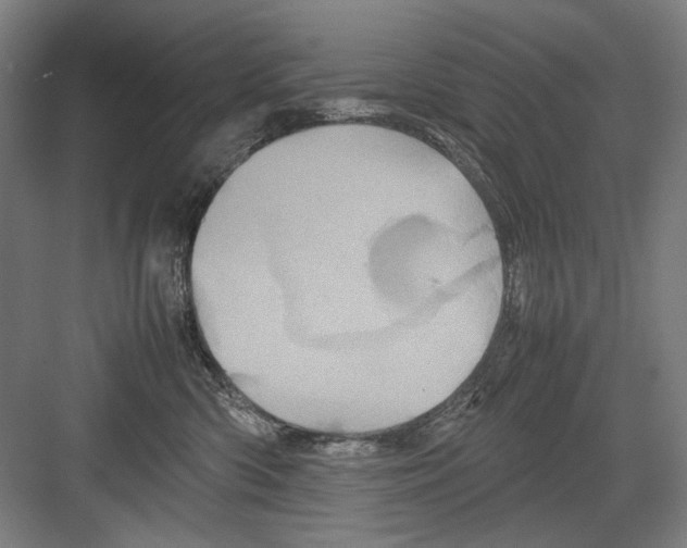 X0000082170426200702162306