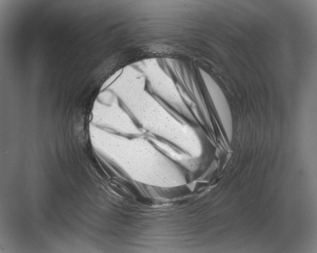 X0000082170428200702162306