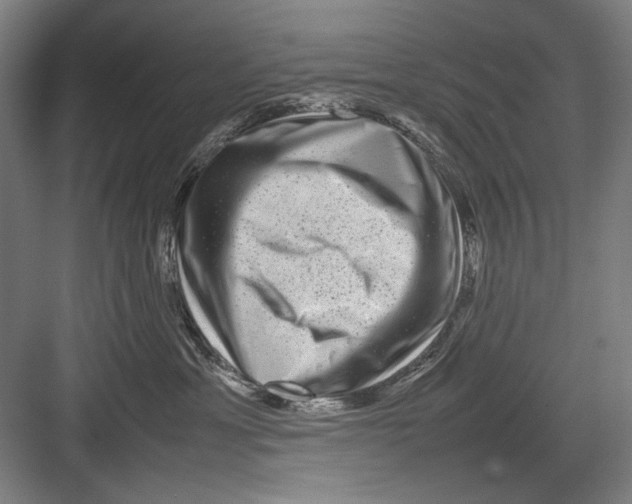 X0000082170429200702162306