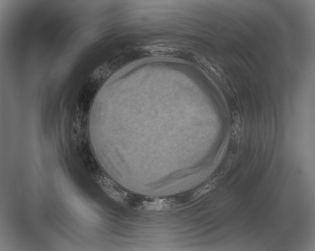 X0000082170430200702162306