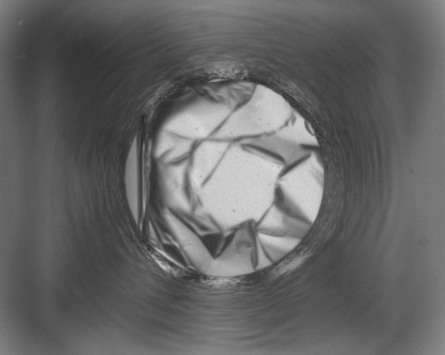 X0000082170432200702162305