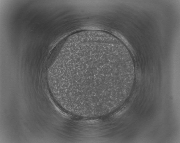 X0000082170433200702162305