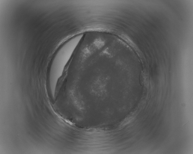 X0000082170434200702162305