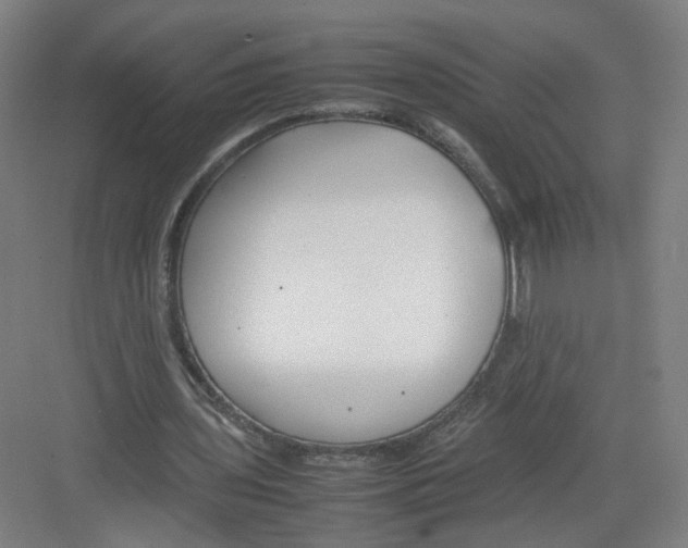 X0000082170435200702162305