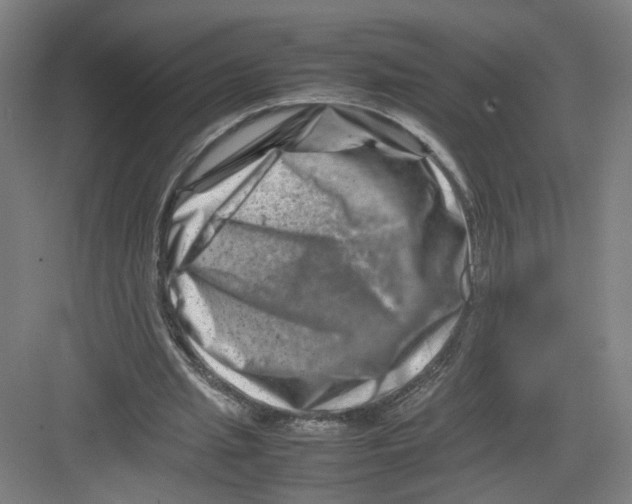 X0000082170437200702162305