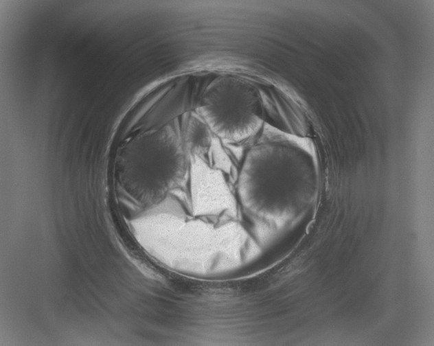 X0000082170438200702162305