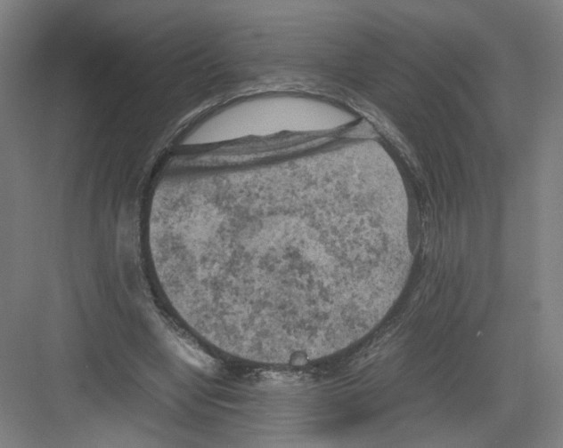 X0000082170442200702162305