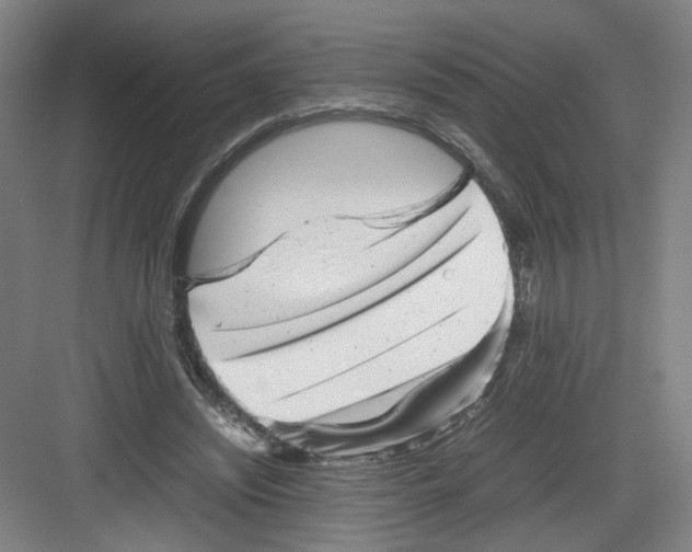 X0000082170444200702162305