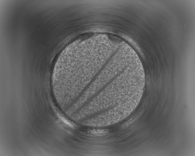 X0000082170445200702162305