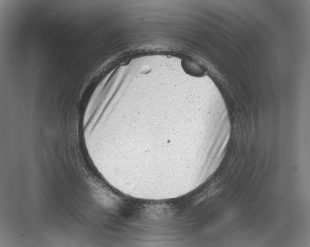 X0000082170446200702162305