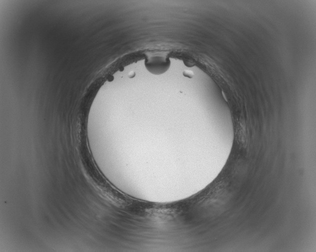 X0000082170448200702162305