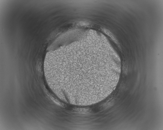 X0000082170449200702162305