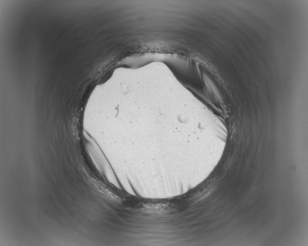 X0000082170450200702162305