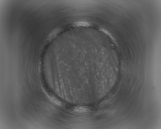 X0000082170451200702162305