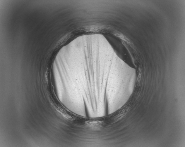 X0000082170452200702162305